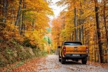 ford ranger wildtrack 1